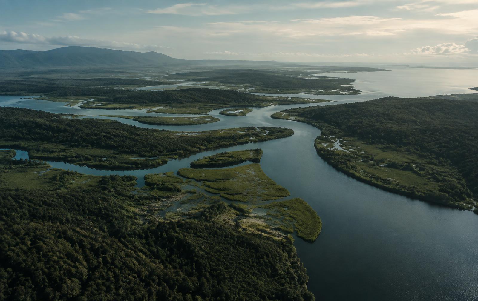 Aerial view of a river delta running through wetland and forest
